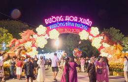 Đường hoa và đường sách Tết Bính Ngọ 2026 thu hút đông đảo người dân TP. Hồ Chí Minh