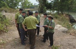 Xuyên Tết trực chiến bảo vệ rừng