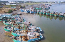 Siết chặt chống khai thác IUU tại TP. Hồ Chí Minh trước đợt kiểm tra của Ủy ban châu Âu