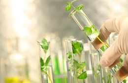 Năm 2028, ban hành bộ chỉ tiêu thống kê công nghệ sinh học phục vụ phát triển kinh tế - xã hội