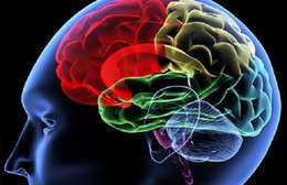 Australia thử nghiệm vaccine đầu tiên trên thế giới điều trị u não ác tính ở trẻ em