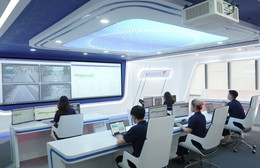 Hơn 80% người lao động sử dụng AI trong công việc