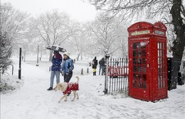 Một loạt nước châu Âu cảnh báo về bão và tuyết