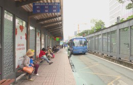 TP. Hồ Chí Minh miễn phí xe buýt và Metro số 1 trong ngày bầu cử 15/3