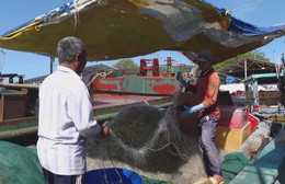 Nhiều tàu cá nằm bờ vì giá nhiên liệu tăng cao