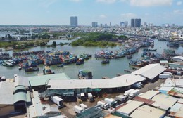 Ngư dân TP. Hồ Chí Minh nâng cao ý thức chấp hành quy định IUU khi vươn khơi