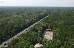 Cùng HTV Hành động xanh 2026 - Tập 1: Hệ sinh thái xanh nơi vùng biển TP. Hồ Chí Minh