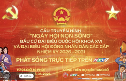 Rộn ràng “Ngày hội non sông” trên thành phố mang tên Bác