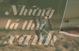 Nơi ánh sáng là điểm tựa