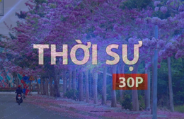 Thời sự 30p chiều: Vườn kèn hồng ở TP. Hồ Chí Minh hút khách chụp ảnh