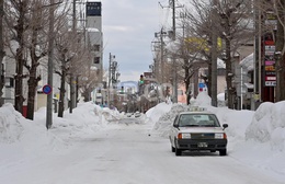 Nhật Bản: Số người thiệt mạng do tuyết rơi dày tăng lên 46 người