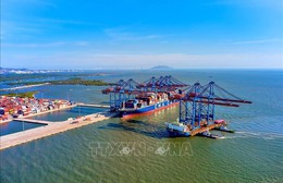 Bộ Công Thương khuyến nghị giảm thiểu tác động của xung đột tại khu vực Trung Đông