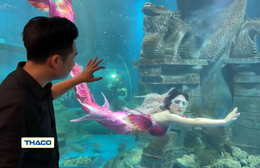 Người chung quanh ta - Tập 20: Chuyện "nàng tiên cá" Ngọc Ánh