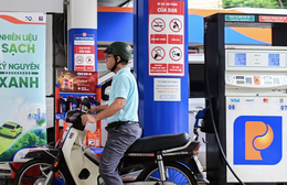 DN Việt tăng tốc sản xuất nhiên liệu sinh học, thay thế đáng kể xăng khoáng