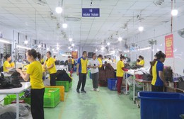 Doanh nghiệp chủ động tiết kiệm nhiên liệu, thích ứng biến động chi phí vận hành