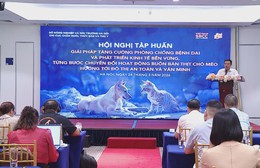 Hà Nội: Quyết liệt phòng chống bệnh dại và hỗ trợ chuyển đổi kinh doanh thịt chó, mèo