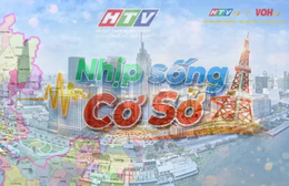 Nhịp sống cơ sở: TP. Hồ Chí Minh cao điểm hỗ trợ hộ kinh doanh kê khai thuế