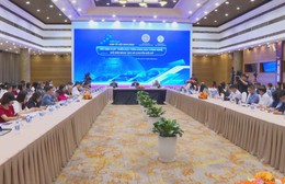 Đổi mới mô hình tăng trưởng dựa trên khoa học công nghệ và chuyển đổi số