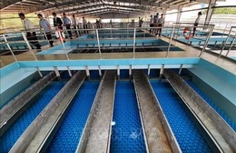 TP Hồ Chí Minh: Nhà máy nước bảo trì, ngừng cấp nước tạm thời nhiều khu vực