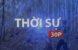 Thời sự 30p chiều: Việt Nam nhận khoảng 1.900 tỉ đồng để chi trả cho nỗ lực giảm phát thải từ rừng