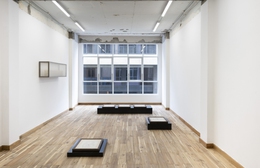 Trong cuộn phim, khu rừng sống mãi: Những thổ lộ về đời sống đô thị hiện đại