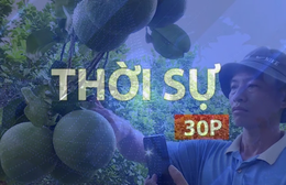 Thời sự 30p trưa: Trồng Bưởi bonsai - mô hình mới của nông dân tân uyên