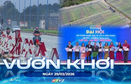 Vươn khơi - Ngày 29/3/2026 | Vành đai 3 TP. Hồ Chí Minh đẩy nhanh tiến độ thi công
