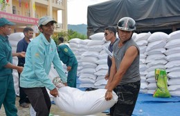 Ban hành Kế hoạch triển khai thi hành Luật Dự trữ quốc gia