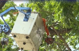 TP. Hồ Chí Minh chủ động phương án y tế, an toàn thực phẩm phục vụ ngày bầu cử