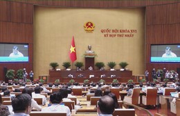 Nhiều đại biểu tán thành việc quản lý hoạt động tín ngưỡng, tôn giáo trên không gian mạng