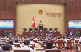 Đại biểu Quốc hội tán thành việc giảm thuế đối với xăng, dầu và nhiên liệu bay