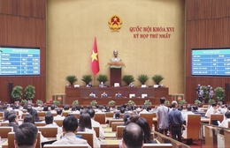 Quốc hội thông qua Nghị quyết về giảm thuế xăng dầu đến ngày 30/6/2026