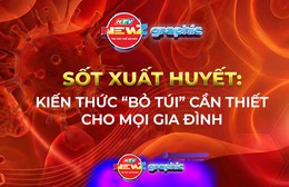 NewZgraphic: Sốt xuất huyết: Kiến thức “bỏ túi” cần thiết cho mọi gia đình