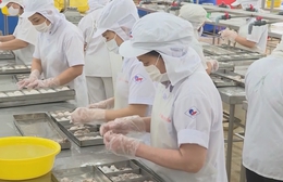 TP. Hồ Chí Minh siết chặt an toàn thực phẩm từ những mắt xích nhỏ nhất