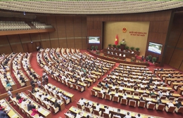 Quốc hội tiếp tục thảo luận về tình hình kinh tế - xã hội