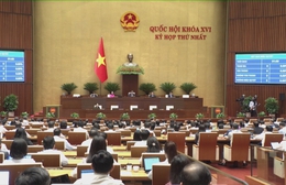 Quốc hội thông qua 8 Luật, 1 Nghị quyết