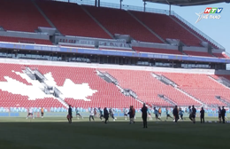 Toronto hoàn thành đợt tổng duyệt cho World Cup