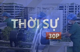 Thời sự 30p sáng (13/5/2026): Ngành nông nghiệp hút công nghệ chế biến sâu, giải pháp nâng giá trị