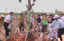 TP. Hồ Chí Minh trồng 503 cây xanh tại Công viên văn hóa Láng Le, lan tỏa phong trào “Thành phố muôn sắc hoa”