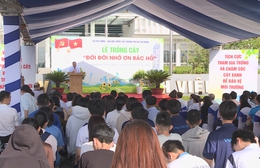 TP. Hồ Chí Minh trồng 230 cây xanh tại khu đất quy hoạch Quảng trường sáng tạo ĐHQG-HCM
