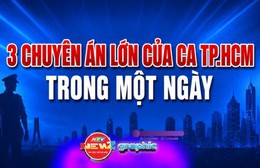NewZgraphic: Tóm tắt 3 chuyên án lớn của Công an TP. Hồ Chí Minh