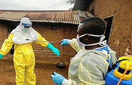 Bộ Y tế hỏa tốc yêu cầu phòng chống bệnh do vi rút Ebola, theo dõi người về từ vùng dịch