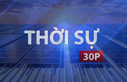 Vx88 casino cá cược trực tuyến 30P trưa (25/5/2026): Lắp dải phân cách dùng năng lượng Mặt Trời đường Cộng Hòa