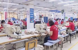 Nâng ngưỡng doanh thu chịu thuế với hộ kinh doanh