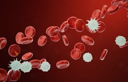 Bước đột phá mở hy vọng mới cho bệnh ung thư và bệnh máu