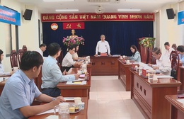 TP. Hồ Chí Minh: Triển khai Tháng Nhân đạo và chuẩn bị Đại hội Hội Chữ thập đỏ nhiệm kỳ mới