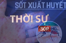 Thời sự 30P trưa (11/6/2026): Phòng ngừa sốt xuất huyết trước nguy cơ bùng phát diện rộng