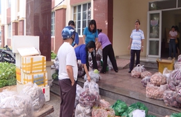 Phường Vũng Tàu tiêu thụ hơn 1,6 tấn nông sản Việt, lan tỏa chương trình “Người Việt Nam ưu tiên dùng hàng Việt Nam”