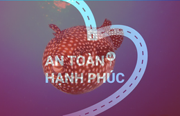 An toàn là hạnh phúc: Ngộ độc cá nóc và cách xử lý