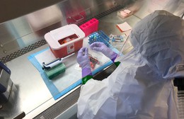 Congo: Mở phòng thí nghiệm giúp xác định nhanh virus Ebola